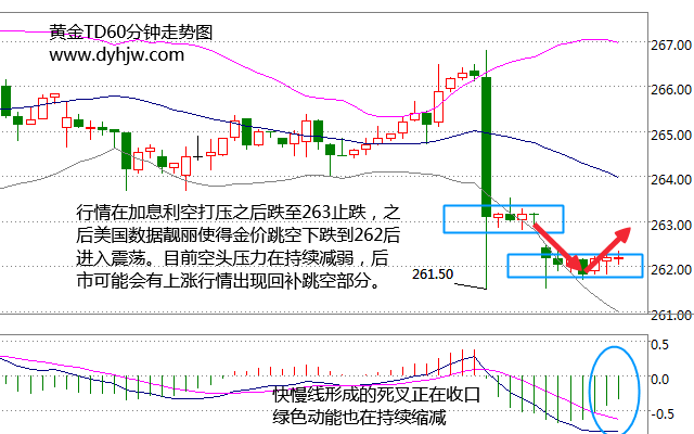 黄金td小时图