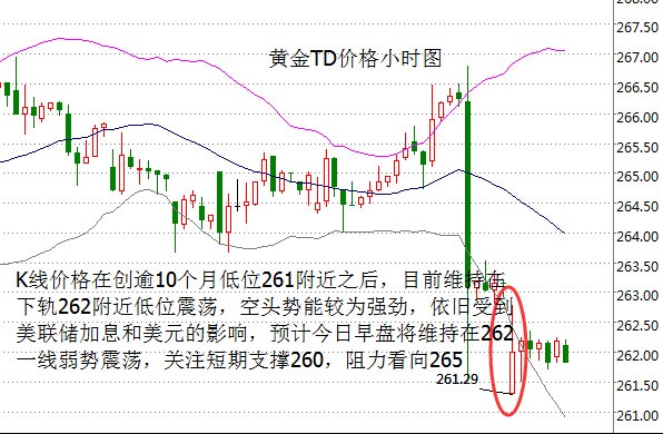 黄金td小时图