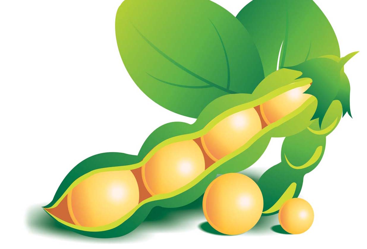 多头获利平仓抛售 周一cbot大豆期货市场收盘下跌