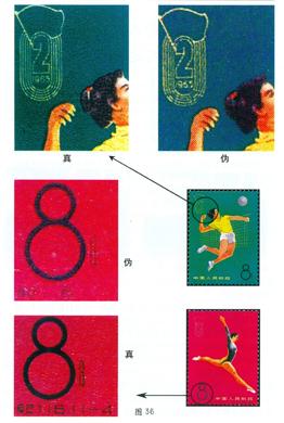 纪116《中华人民共和国第二届运动会》邮票如何鉴别真假？
