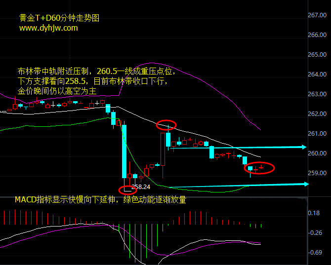 黄金td60分钟走势图