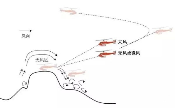 鸟类飞行气流图解图片