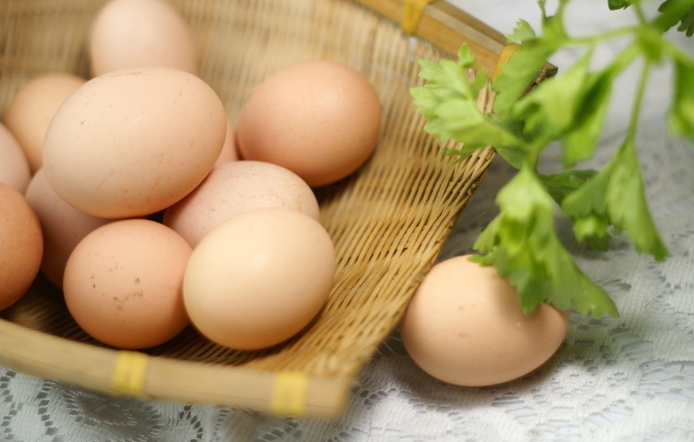 预计短期蛋价稳中调整