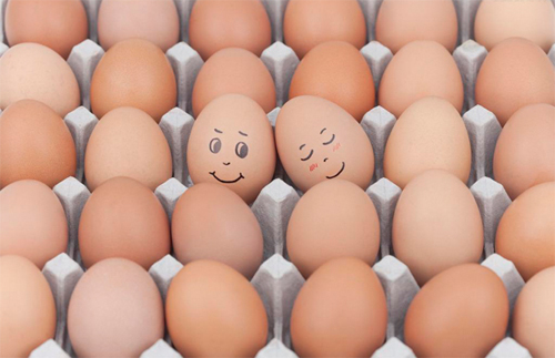 近期全国鸡蛋价格稳中趋弱