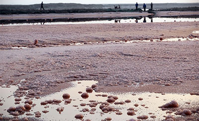 中国死海变玫瑰湖 古老盐湖出现晶莹剔透的“硝花”是怎么回事？