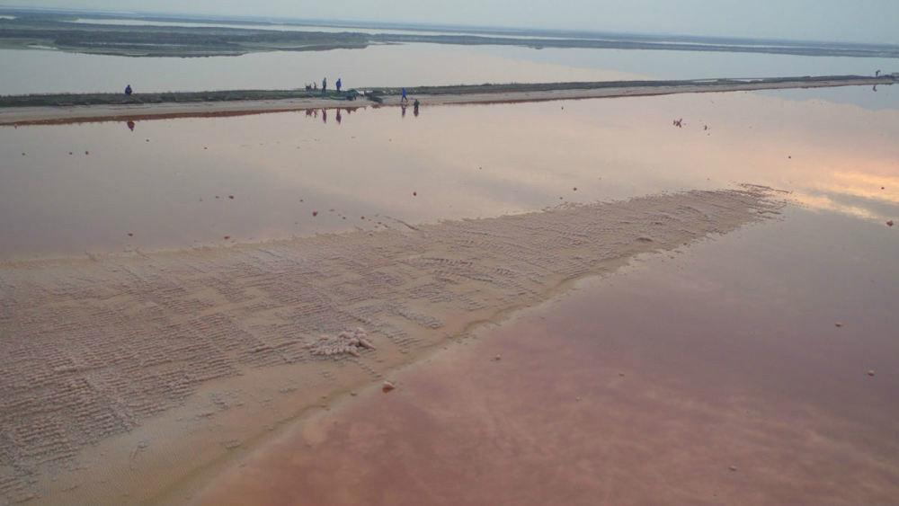 中国死海变玫瑰湖 人们用镜头为这奇观留下美好的记录