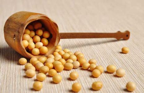 USDA月度报告利多 美豆飙升