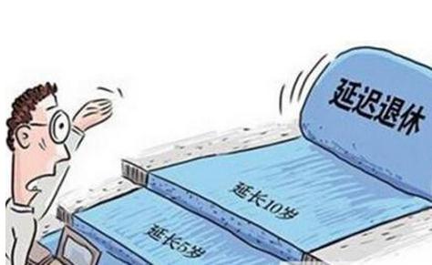 养老金福利_养老金收入替代率