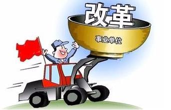 有胎盘类_收入类的调整项目的有