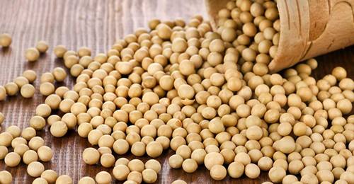 巴西农户惜售 部分需求转向美豆
