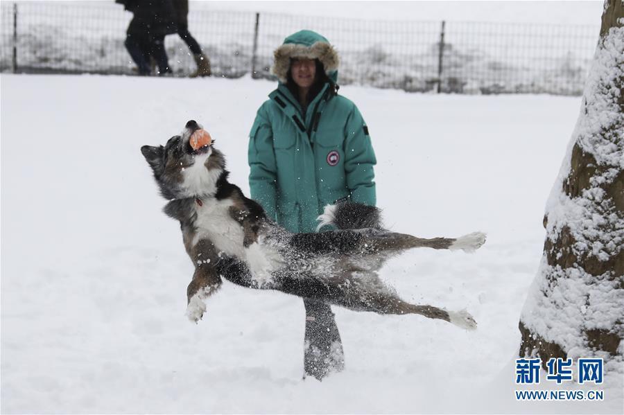 纽约遭遇暴风雪