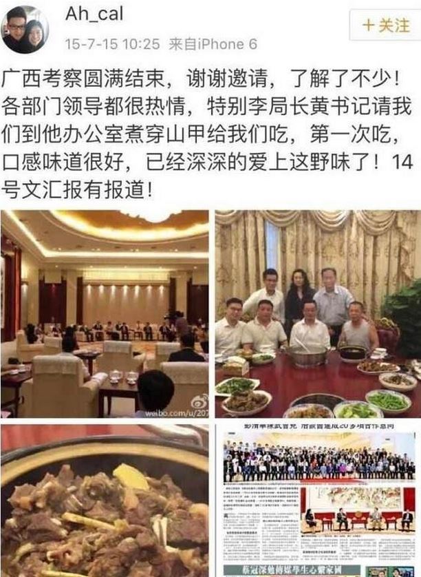 深圳现穿山甲公主 走了穿山甲公子来了穿山甲公主