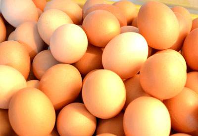 鸡蛋期货新规助力服务现货企业