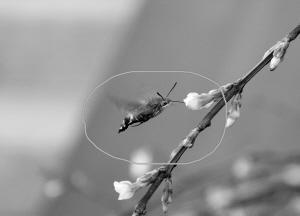 fdd5d2453a934f59bd901f027a788fe6.jpg