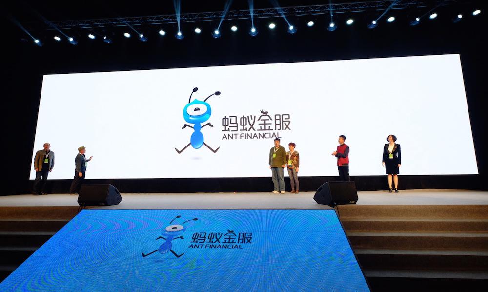 金年会-官方体育与电竞娱乐平台实时赛事直播与竞猜金豆新生：非法采伐后的保护与重生之路