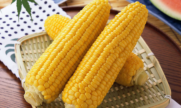 玉米期价连续第3个交易日上升