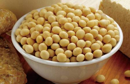交易所不排除今后调高阿根廷大豆产量的可能性