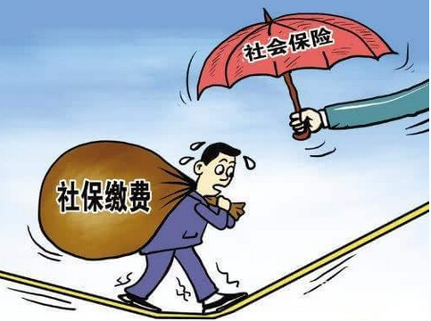 社保收入分配_4050社保补贴收入(2)