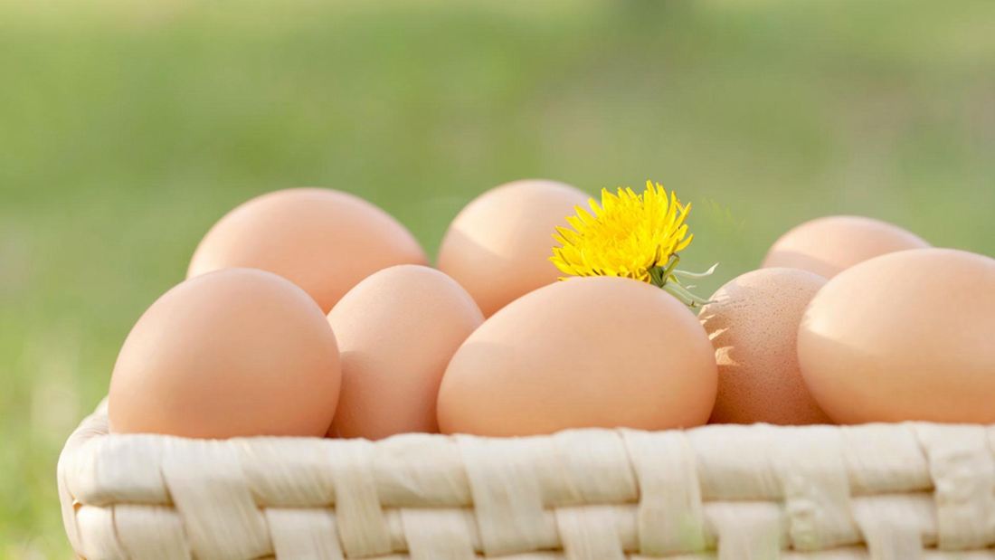 周一鸡蛋期货上涨 因周末现货大涨