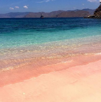 粉色沙滩是怎么形成的？，粉色沙滩是怎么形成的？好不好？