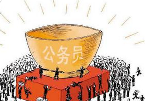 公务员体检标准_公务员的收入(3)