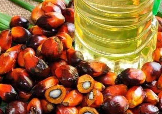 全球大豆供应充裕忧虑加重 BMD棕榈油收低