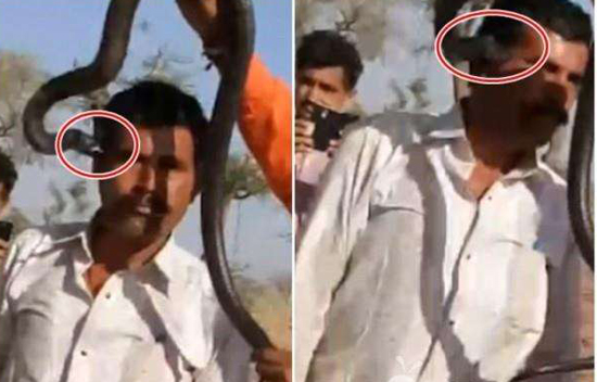 27岁女游客在三亚被蛇咬伤身亡 d391d923b7463d2a4754fda5c000f2c4.jpg?_=1491959234588