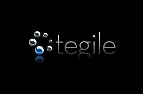 Tegile获3300万美元融资 总融资额已达1亿7800万美元