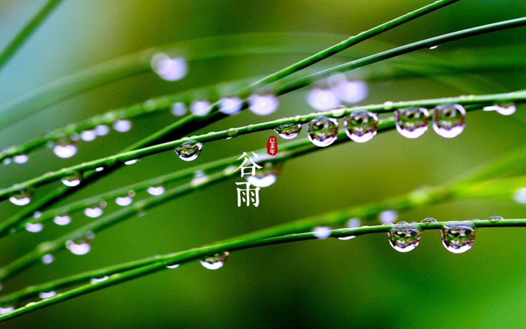 谷雨节气吃什么养生?这段时间应该注意什么?