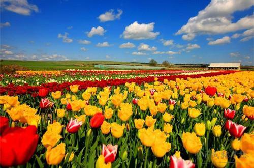 哪个国家最有钱?2017全球最富的十个国家排行