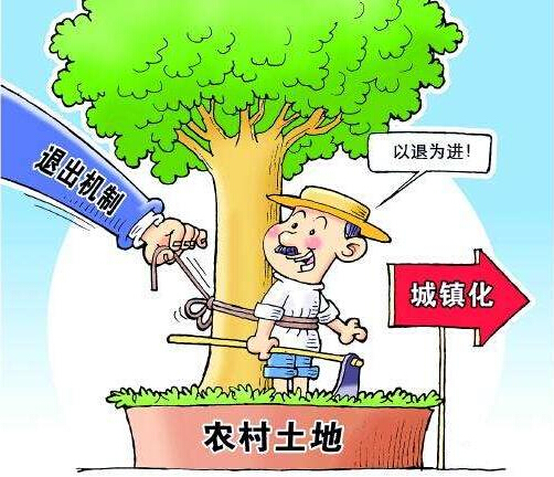 农民伯伯乡下妹_城镇化 农民收入(2)