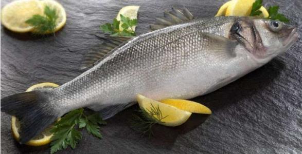 鲈鱼图片和介绍-第3页