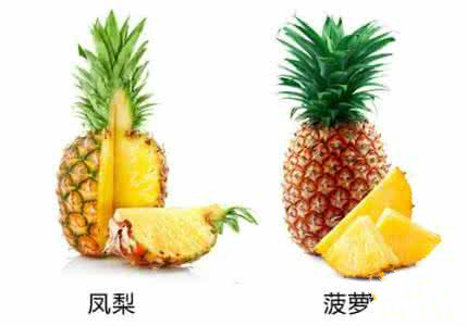 菠萝和凤梨怎么区分？