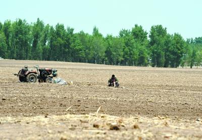 辽宁干旱农田缺墒1470.95万亩 多地无有效降雨日已达70天