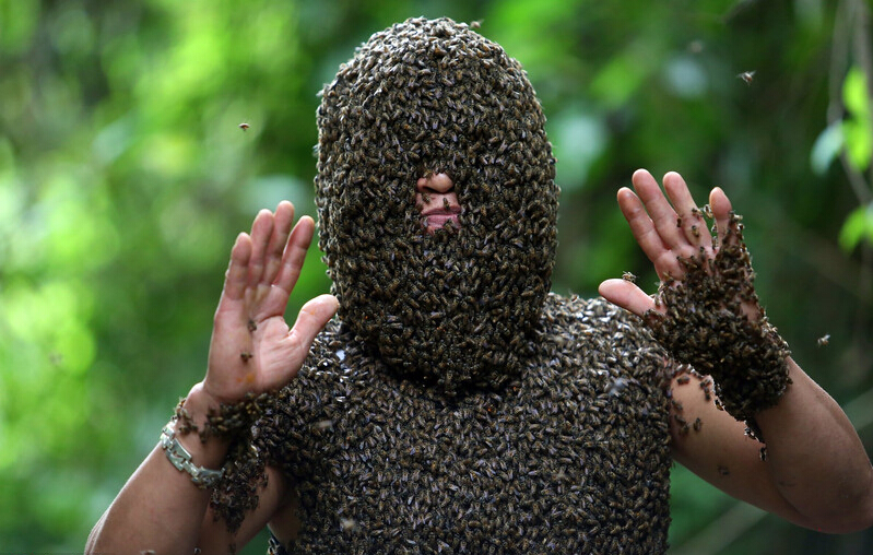 养蜂人展示捕蜂神技能