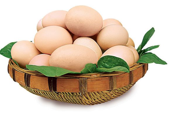 鸡蛋总体价格仍将在低位运行