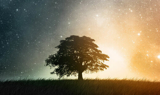 黄金爆发反弹行情 是希望还是落空?