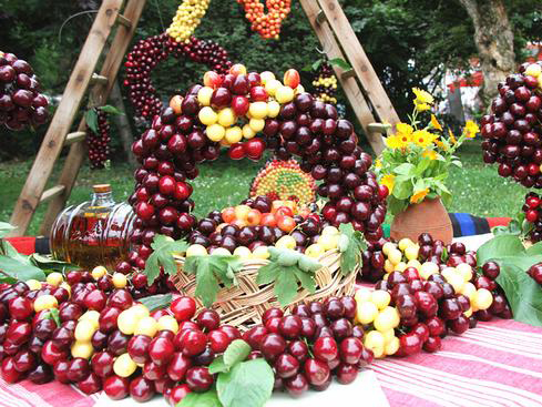 保加利亚樱桃节 保加利亚和中国水果合作结出硕果