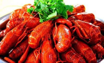 職高首設小龍蝦專業 小龍蝦搖身變高校專業科目