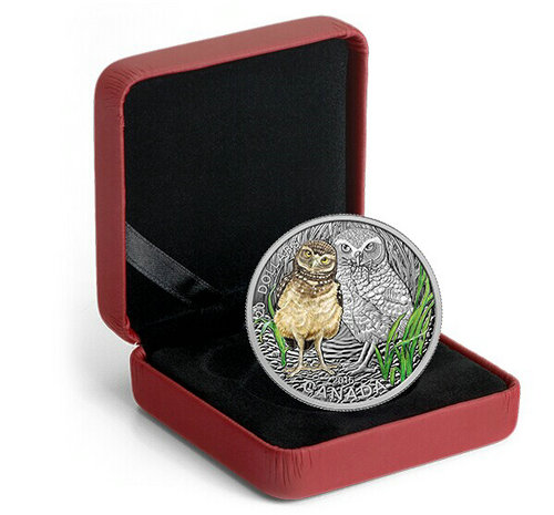 加拿大穴居猫头鹰宝宝彩色纪念银币