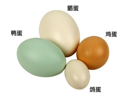 鸡蛋和鸭蛋哪个营养价值高？鸡蛋和鸭蛋哪个好？