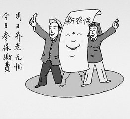 农村人口老龄化与社会保障_农村人口老龄化现状(3)