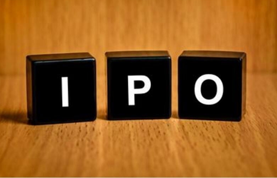 美国IPO数量大幅下降 投资者无法受益上市公司发展