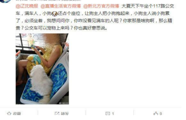 宠物狗公交坐座位 狗主人对携带狗狗上车行为无动于衷