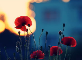 零售数据影响有限 难以扭转黄金回调局面