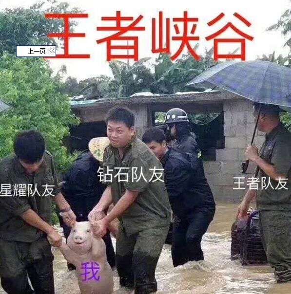 四川宜宾洪水来袭 这些猪难倒大家