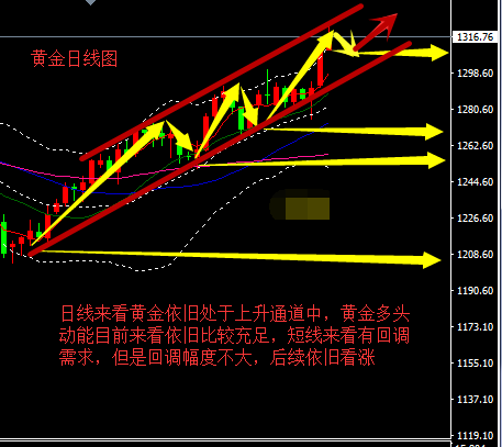 面对强势多头 国际黄金回调幅度不大