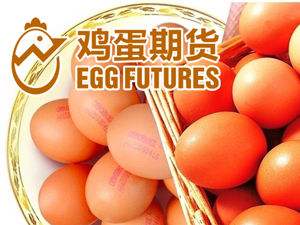 鸡蛋期货受什么影响_鸡蛋期货价格影响因素