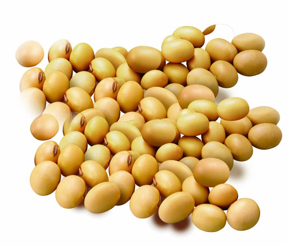 美11月大豆期约收高 阿根廷大豆现货上涨