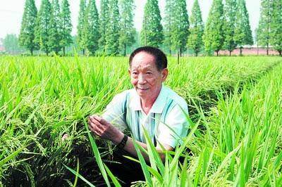 袁隆平运用了什么原理